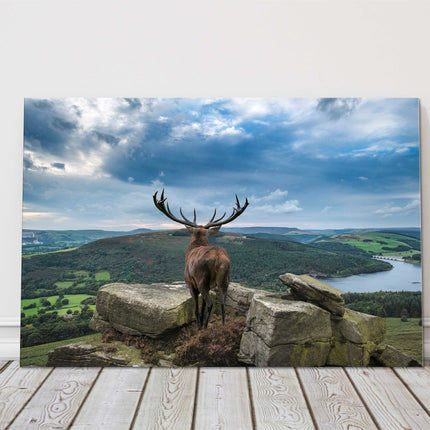 Deer looking over lake. Natural landscape canvas picture print