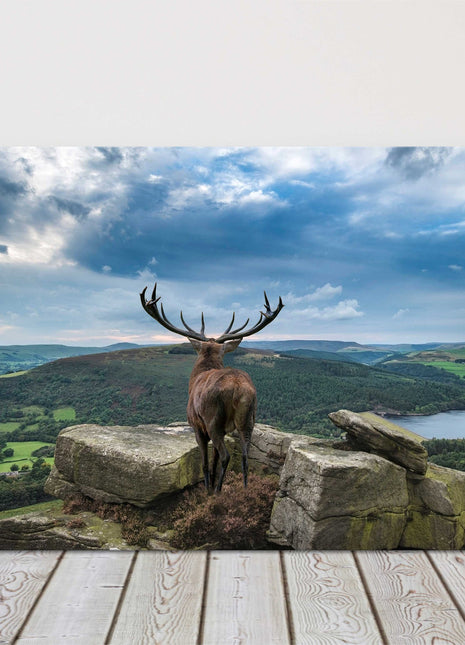 Deer looking over lake. Natural landscape canvas picture print