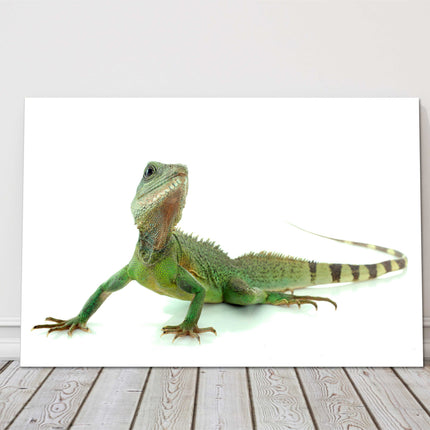 Chinese Water Dragon. Printed and framed as a canvas picture print.