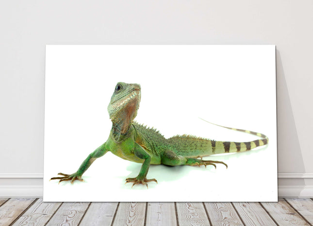 Chinese Water Dragon. Printed and framed as a canvas picture print.