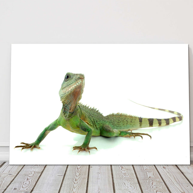 Chinese Water Dragon. Printed and framed as a canvas picture print.