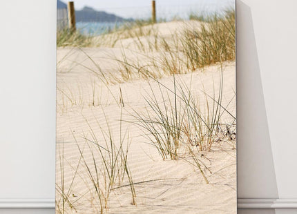 Sand dunes Cornwall. Canvas picture print beach grasses and sand
