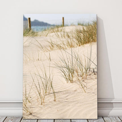 Sand dunes Cornwall. Canvas picture print beach grasses and sand