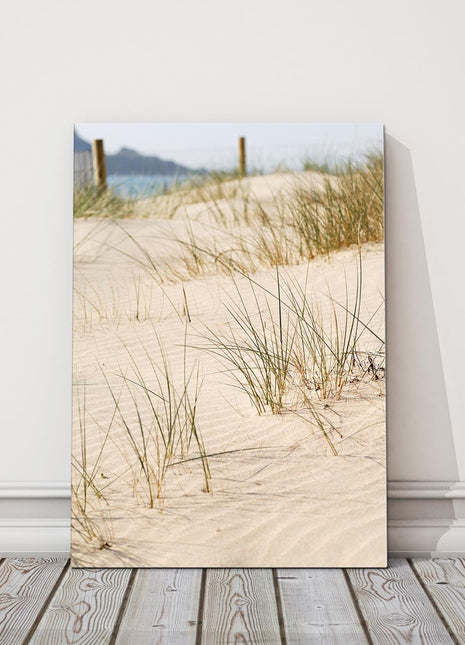 Sand dunes Cornwall. Canvas picture print beach grasses and sand
