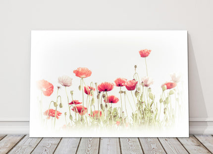 Wild Poppy flowers in a summer meadow. Watercolour painting Canvas picture print