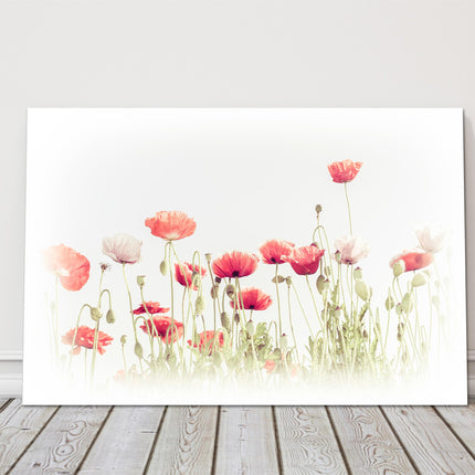 Wild Poppy flowers in a summer meadow. Watercolour painting Canvas picture print
