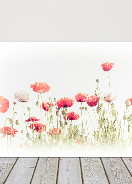 Wild Poppy flowers in a summer meadow. Watercolour painting Canvas picture print