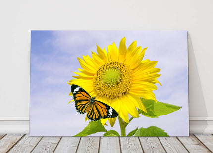 Sunflower with orange butterfly. Vibrant summer scene. Canvas picture print.