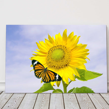 Sunflower with orange butterfly. Vibrant summer scene. Canvas picture print.