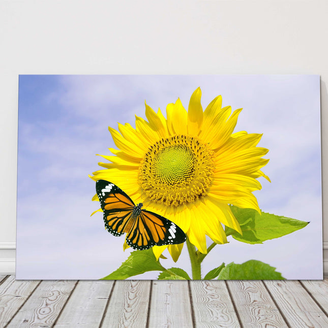 Sunflower with orange butterfly. Vibrant summer scene. Canvas picture print.