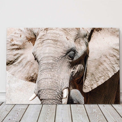 Elephant Canvas picture print. Wildlife image.