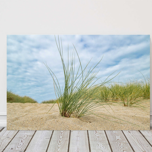 beach grass and sand dunes canvas picture print cornish beach