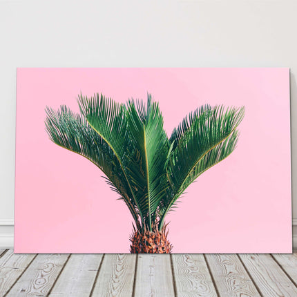 Tropical palm on a pink background canvas picture print bright wall art