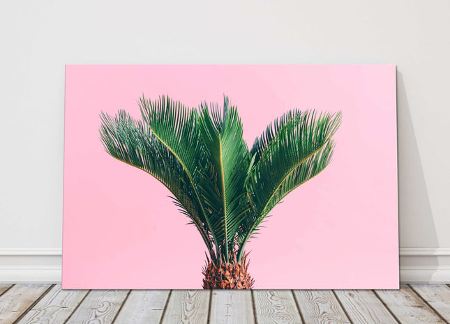Tropical palm on a pink background canvas picture print bright wall art