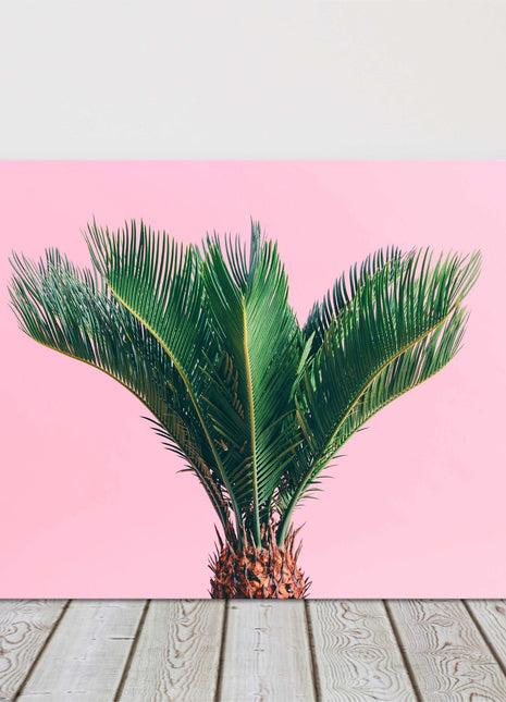 Tropical palm on a pink background canvas picture print bright wall art
