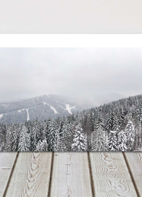 Beautiful winter forest. Snowy landscape. Panoramic canvas picture print