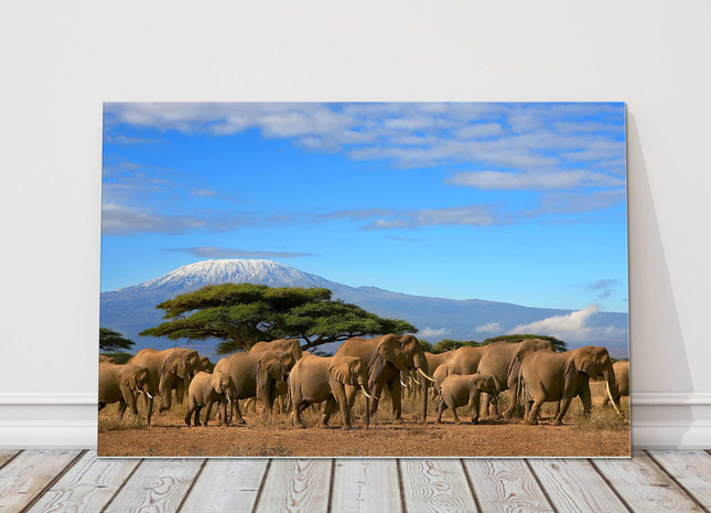 Elephants in africa herd bright blue sky canvas picture print