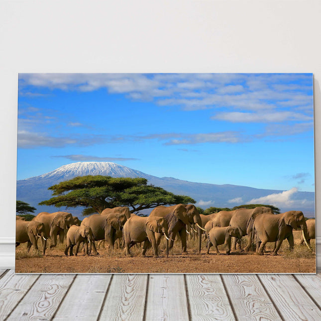 Elephants in africa herd bright blue sky canvas picture print