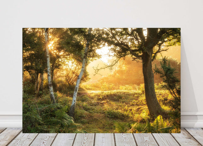 misty forest countryside. Landscape view. Canvas picture print sunrise landscape