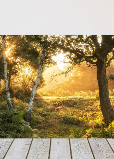 misty forest countryside. Landscape view. Canvas picture print sunrise landscape
