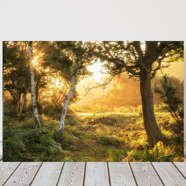 misty forest countryside. Landscape view. Canvas picture print sunrise landscape