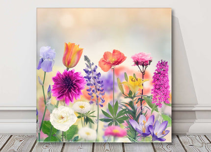 Colourful flowers in bloom canvasp icture print square wild flower