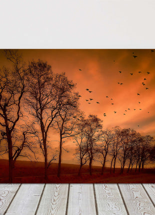 Autumn evening landscape winter trees canvas picture print