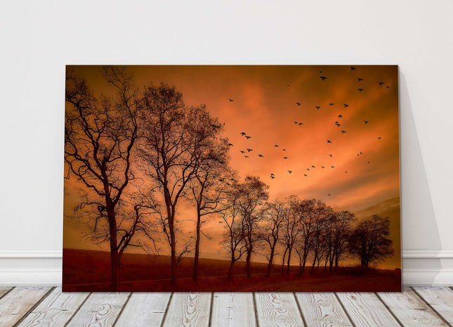 Autumn evening landscape winter trees canvas picture print
