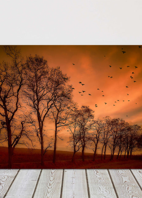 Autumn evening landscape winter trees canvas picture print