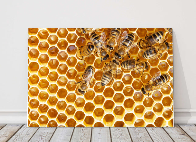 Bees swarming on honeycomb. Printed canvas picture print.