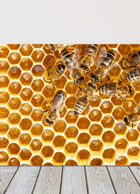 Bees swarming on honeycomb. Printed canvas picture print.