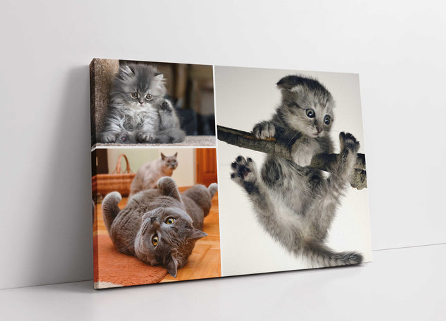 3 picture canvas collage any 3 pictures my photos on canvas printed framed