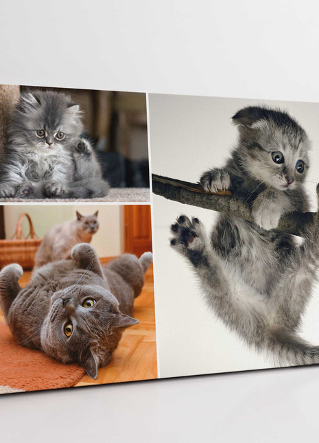 3 picture canvas collage any 3 pictures my photos on canvas printed framed