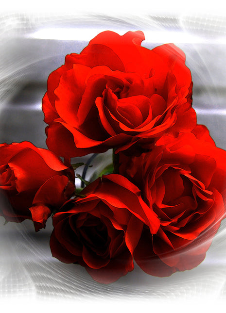 red roses arty picture canvas picture print