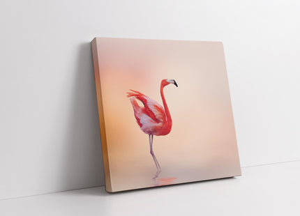 Flamingo in shallow water, peach shaded background. Canvas picture print.