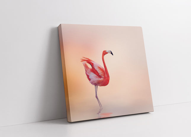 Flamingo in shallow water, peach shaded background. Canvas picture print.