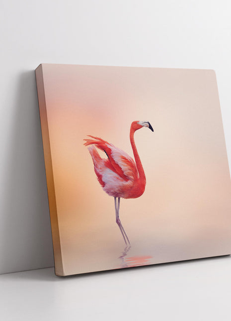 Flamingo in shallow water, peach shaded background. Canvas picture print.