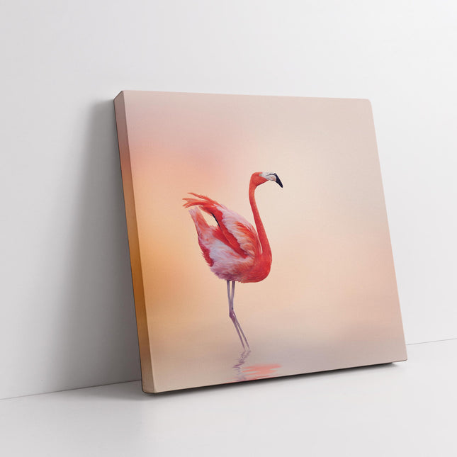 Flamingo in shallow water, peach shaded background. Canvas picture print.