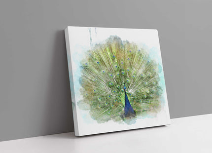 Peacock watercolour image, printed and finished as a canvas print. Wildlife.