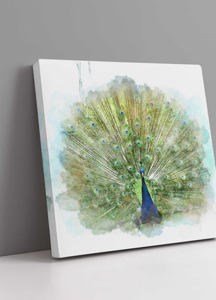 Peacock watercolour image, printed and finished as a canvas print. Wildlife.