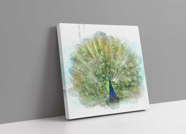 Peacock watercolour image, printed and finished as a canvas print. Wildlife.