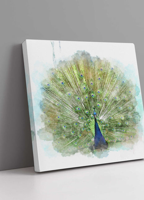 Peacock watercolour image, printed and finished as a canvas print. Wildlife.