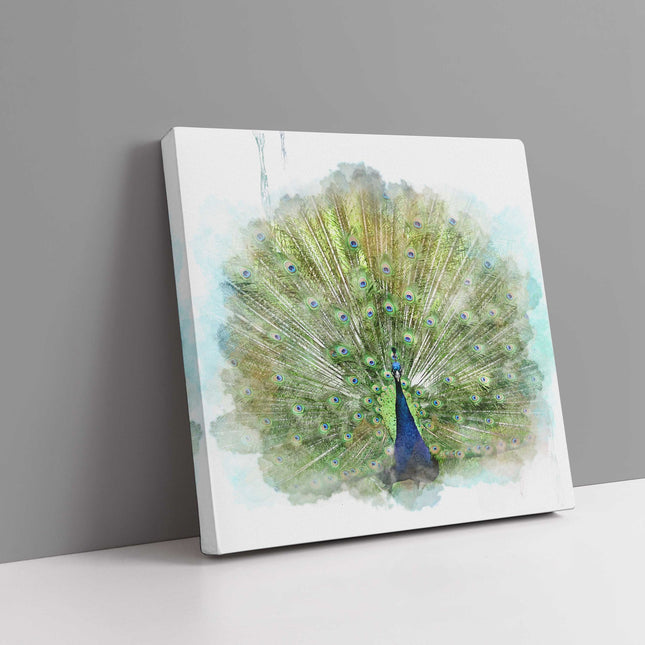 Peacock watercolour image, printed and finished as a canvas print. Wildlife.