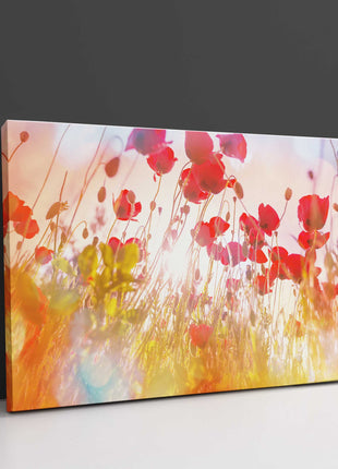 Wild poppies in the hazy sunshine. Canvas picture Print