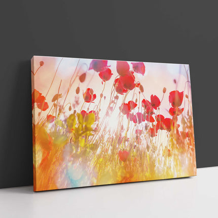 Wild poppies in the hazy sunshine. Canvas picture Print