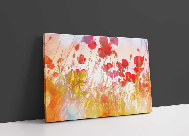 Wild poppies in the hazy sunshine. Canvas picture Print
