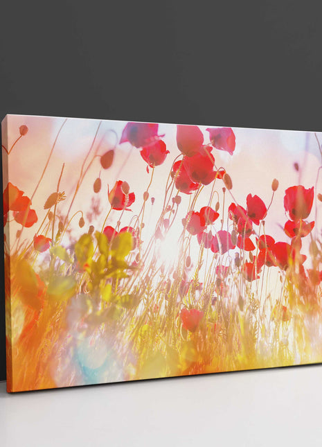 Wild poppies in the hazy sunshine. Canvas picture Print