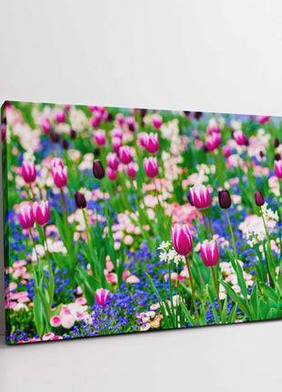 Tulips and Forget me Nots. Canvas picture print. Sringtime Floral picture.
