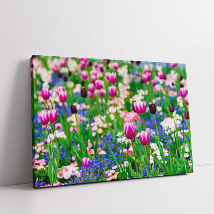 Tulips and Forget me Nots. Canvas picture print. Sringtime Floral picture.