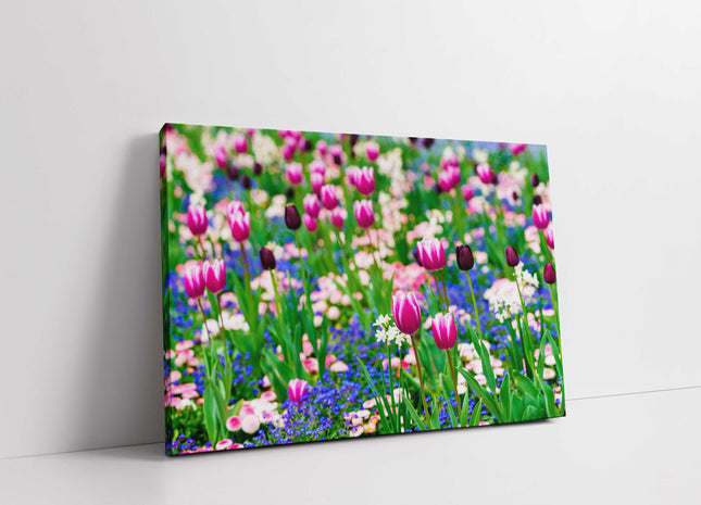 Tulips and Forget me Nots. Canvas picture print. Sringtime Floral picture.